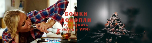 крисы Белокуриха