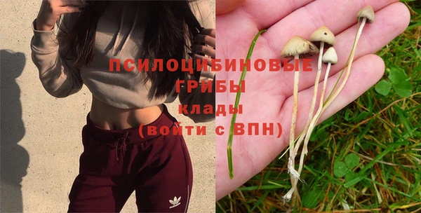 Альфа ПВП Беломорск