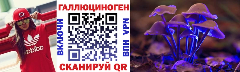 Галлюциногенные грибы Psilocybine cubensis  Балтийск 